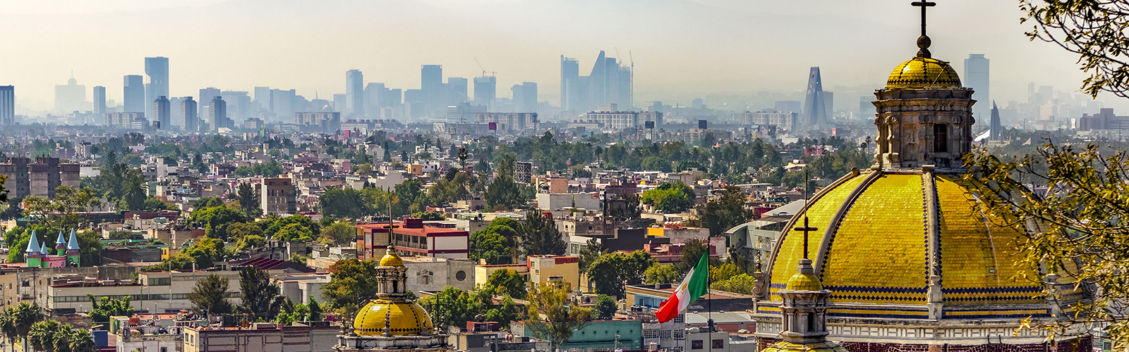 メキシコペソスワップ画像