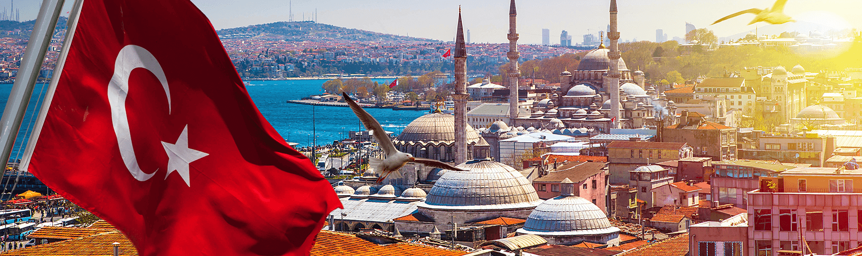 トルコリラリラスワップ画像